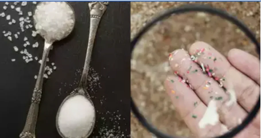 Microplastics in Salt and Sugar Brands - Study Reveals Microplastics in Every Salt and Sugar Brand in India