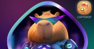 Capybara Nation Daily Combo