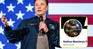 Kekius Maximus Price Crash: How Elon Musk's Move Crushed $KEKIUS