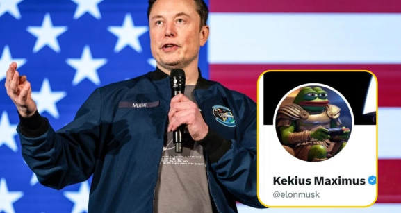 Kekius Maximus Price Crash: How Elon Musk's Move Crushed $KEKIUS