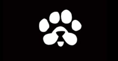 PAWS Airdrop And TGE: Paws Events Coming Very Soon This February