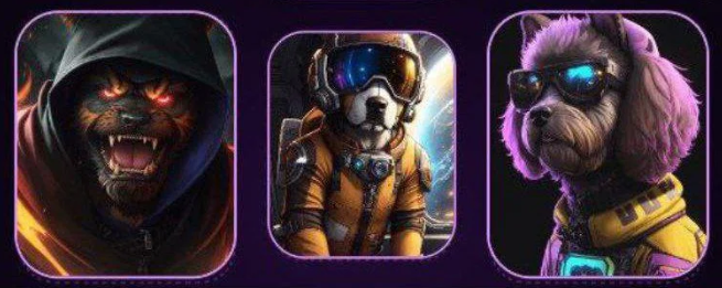 Screenshot 2025-02-15 200442 Not Bored Puppies Daily Combo 15 February 2025