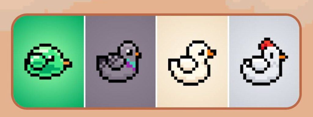 BIRD Daily Combo 4 February 2025