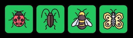 FLIES Daily Combo 8 May 2025