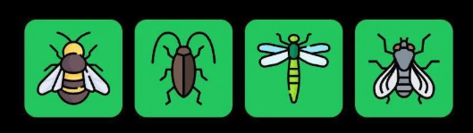 FLIES Daily Combo 12 May 2025