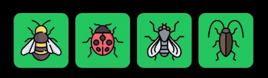 FLIES Daily Combo 14 May 2025