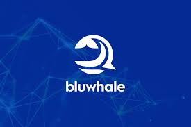 Bluewhale Airdrop is redefining crypto with AI-powered token rewards. Join the movement and explore how $BLUAI tokens are shaping the future of DeFi.