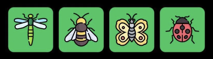 Screenshot 2025-07-17 at 10.16.26 AM FLIES Daily Combo 17 July 2025