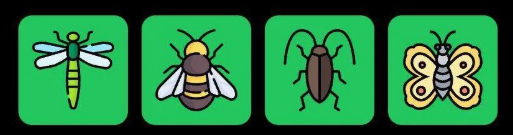 Screenshot 2025-07-18 102225 FLIES Daily Combo 18 July 2025