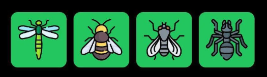Screenshot 2025-07-19 101803 FLIES Daily Combo 19 July 2025