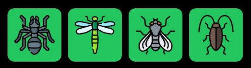 Screenshot 2025-07-21 102016 FLIES Daily Combo 21 July 2025