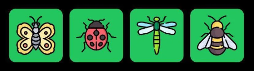 FLIES Daily Combo 24 July 2025