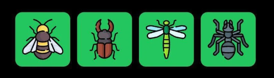 Screenshot 2025-07-26 102930 FLIES Daily Combo 26 July 2025