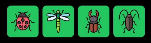 FLIES Daily Combo 29 July 2025