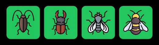 Screenshot 2025-07-30 102151 FLIES Daily Combo 30 July 2025