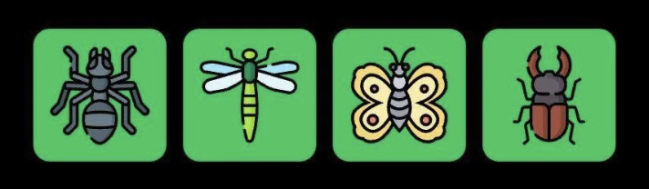 FLIES Daily Combo 2 August 2025
