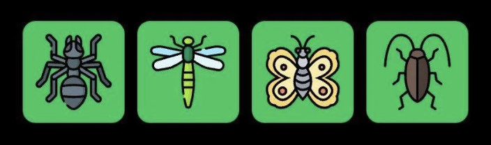 FLIES Daily Combo 3 August 2025