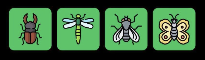 FLIES Daily Combo 4 August 2025