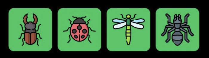 FLIES Daily Combo 6 August 2025
