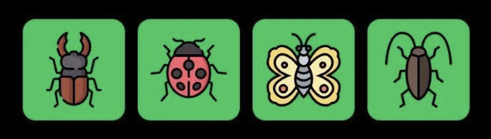 FLIES Daily Combo 7 August 2025