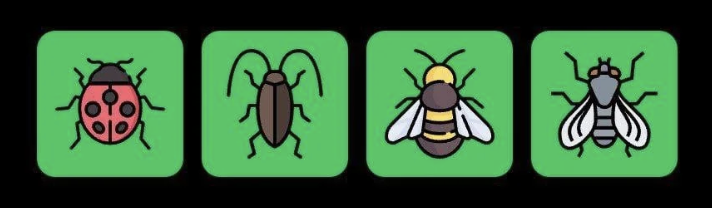 FLIES Daily Combo 9 August 2025