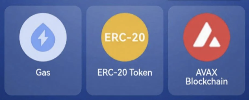 TapCoins Bounty Daily Combo 10 August 2025