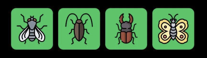 FLIES Daily Combo 10 August 2025