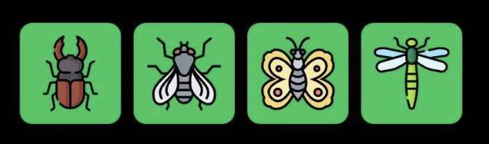 FLIES Daily Combo 11 August 2025