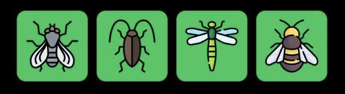 Screenshot 2025-08-14 at 9.52.18 AM FLIES Daily Combo 14 August 2025