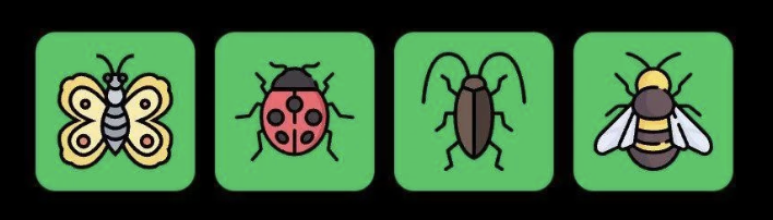 FLIES Daily Combo 15 August 2025