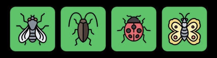 Screenshot 2025-08-16 at 9.48.45 AM FLIES Daily Combo 16 August 2025