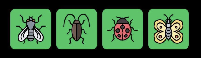 FLIES Daily Combo 18 August 2025