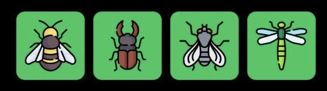FLIES Daily Combo 20 August 2025