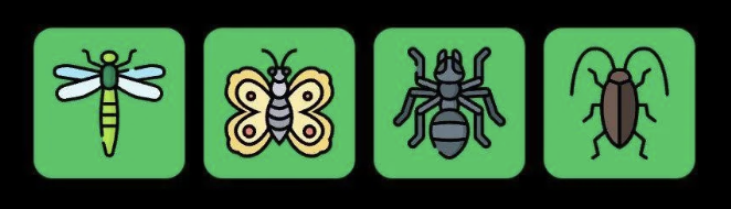 FLIES Daily Combo 21 August 2025