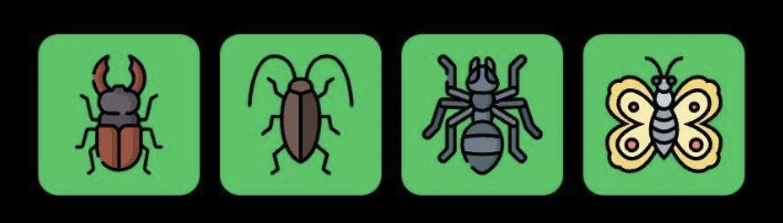 Screenshot 2025-08-23 at 9.50.01 AM FLIES Daily Combo 23 August 2025