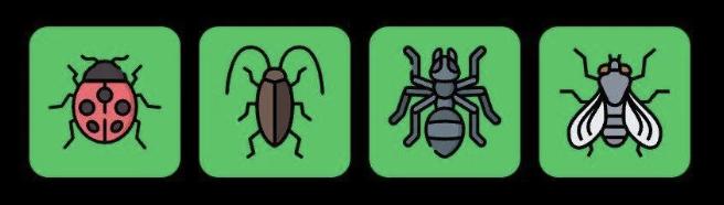 Screenshot 2025-08-25 at 9.38.24 AM FLIES Daily Combo 25 August 2025
