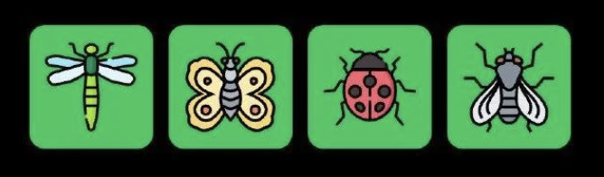 FLIES Daily Combo 26 August 2025