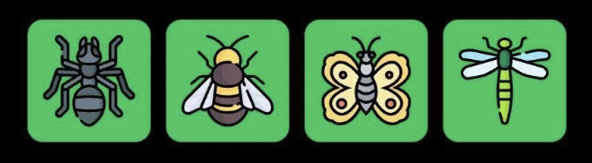 FLIES Daily Combo 27 August 2025