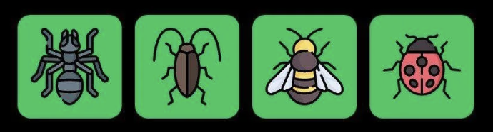 Screenshot 2025-08-31 at 10.22.30 AM FLIES Daily Combo 31 August 2025