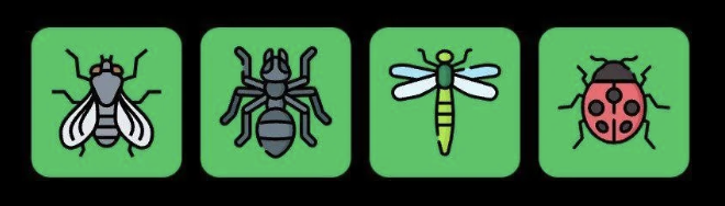 FLIES Daily Combo 1 September 2025