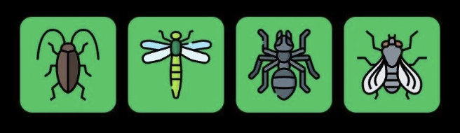 Screenshot 2025-09-02 at 10.21.24 AM FLIES Daily Combo 2 September 2025