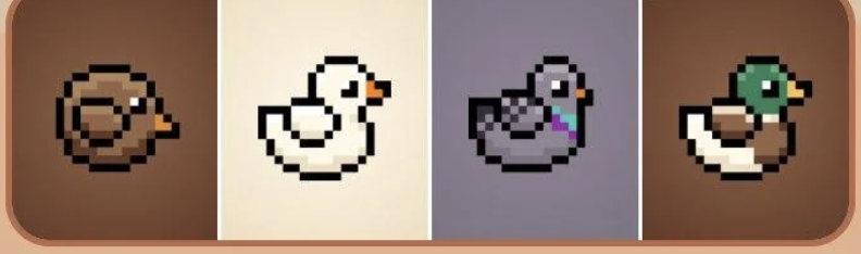 Screenshot 2025-09-06 at 3.43.20 PM BIRD Daily Combo 6 September 2025