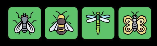 Screenshot 2025-09-07 at 10.19.21 AM FLIES Daily Combo 7 September 2025