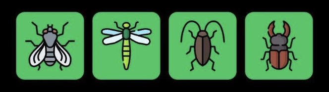 FLIES Daily Combo 9 September 2025