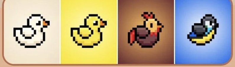BIRD Daily Combo 12 September 2025