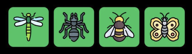 FLIES Daily Combo 12 September 2025