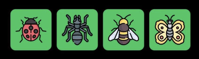 FLIES Daily Combo 13 September 2025
