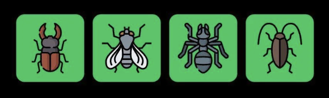 Screenshot 2025-09-14 at 10.00.07 AM FLIES Daily Combo 14 September 2025