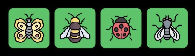 Screenshot 2025-09-15 at 10.09.51 AM FLIES Daily Combo 15 September 2025