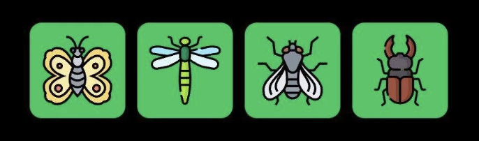 FLIES Daily Combo 16 September 2025